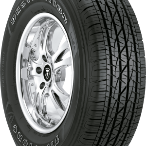 225/60 R17 99T DESTINATION LE2